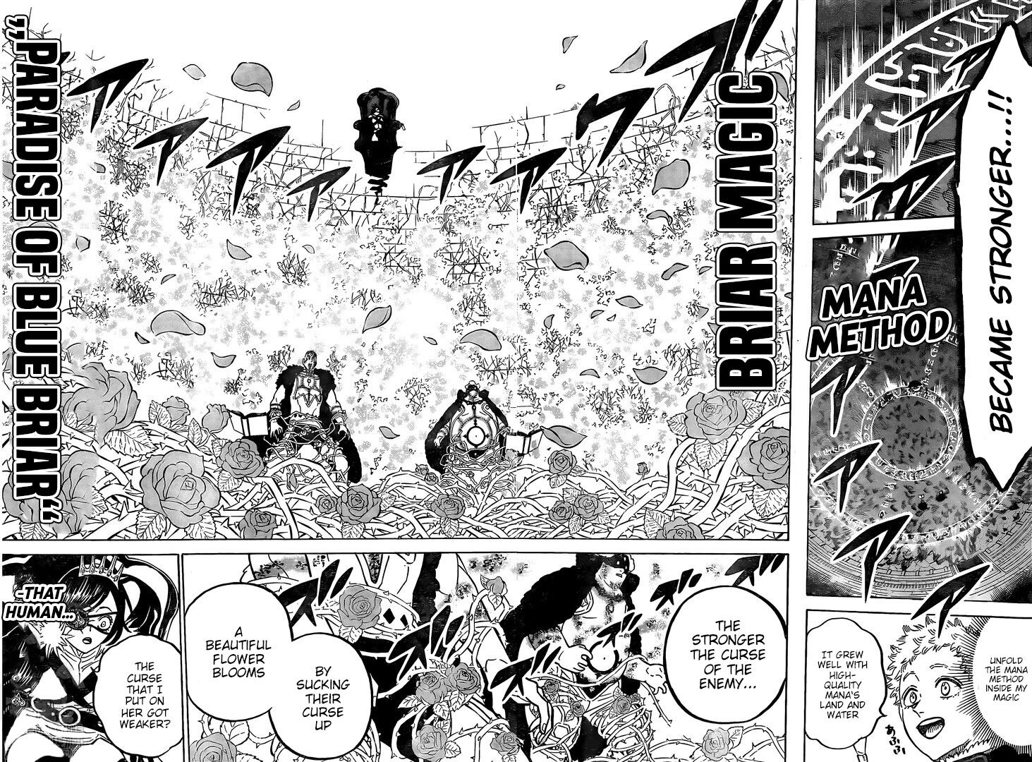 Read Black Clover EN Manga Online