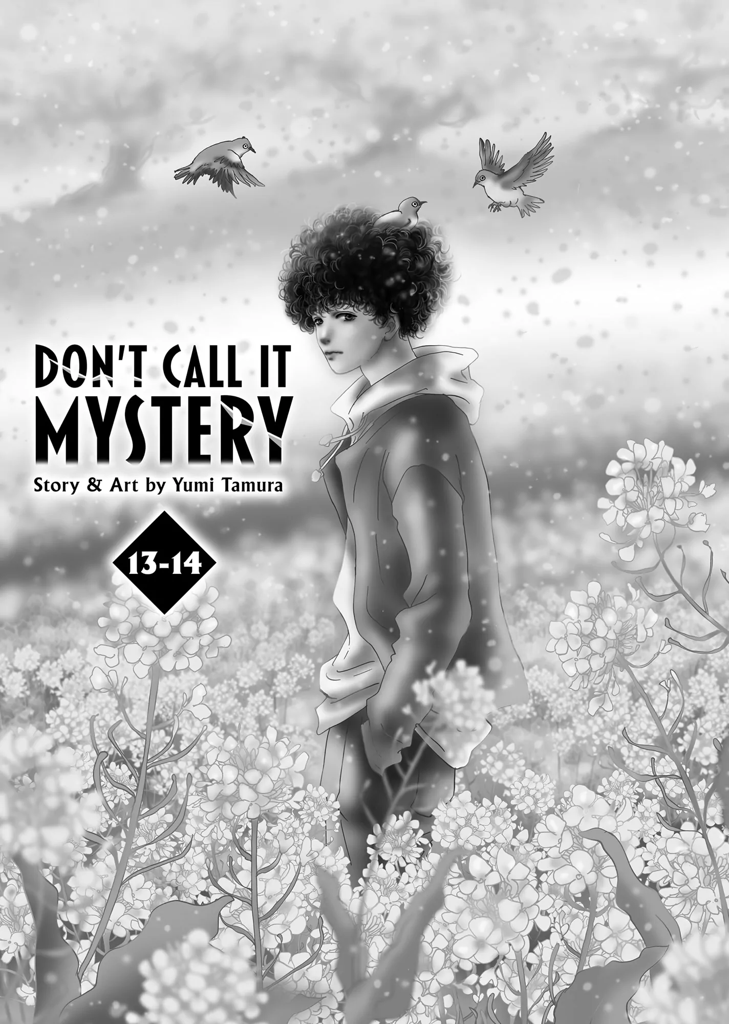 Read Don't Call It Mystery EN Manga Online
