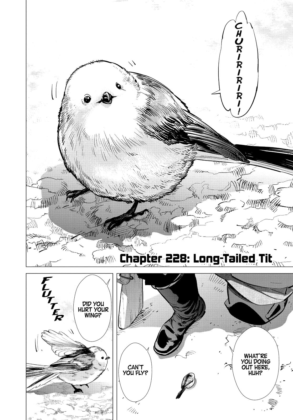 Read Golden Kamuy EN Manga Online