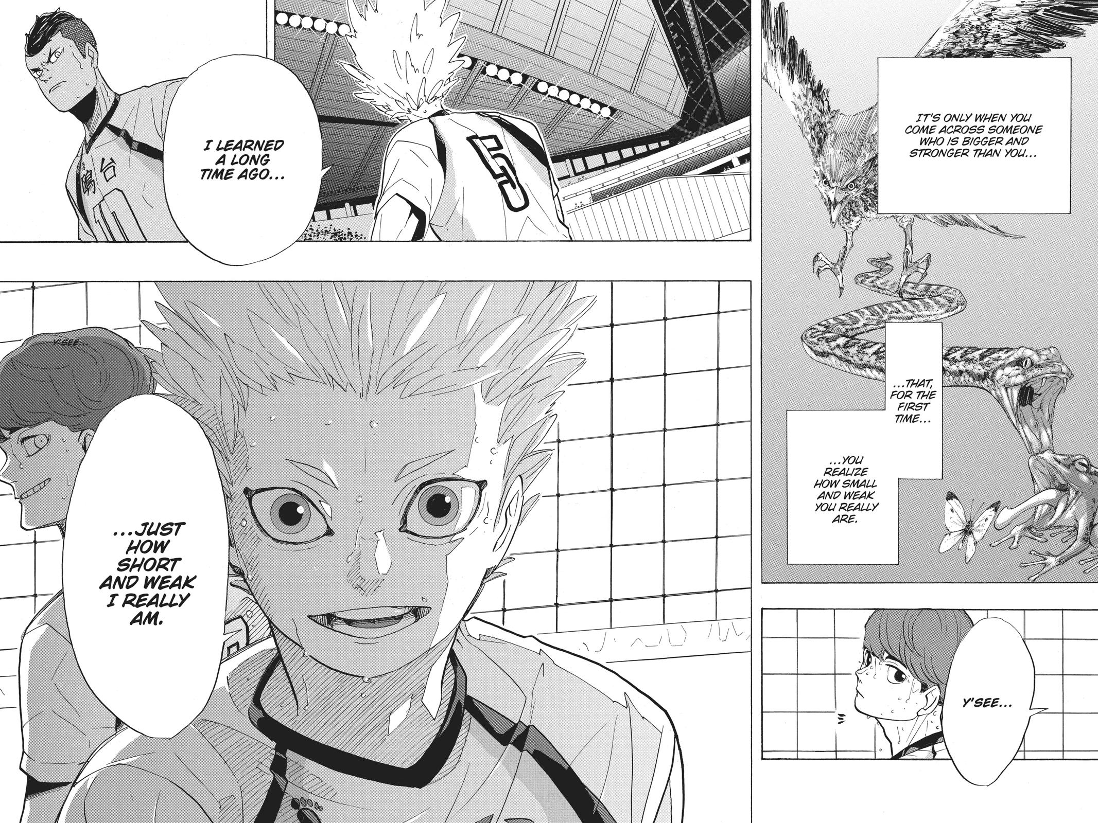 Read Haikyu EN Manga Online