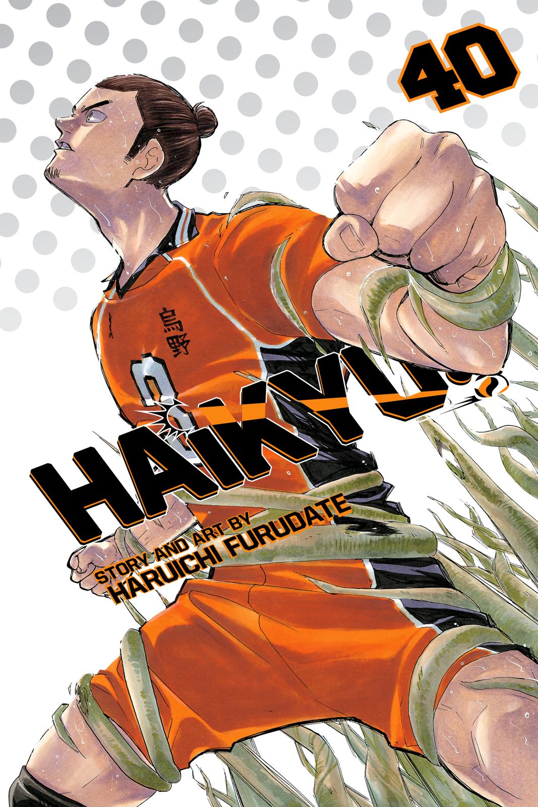 Read Haikyu EN Manga Online