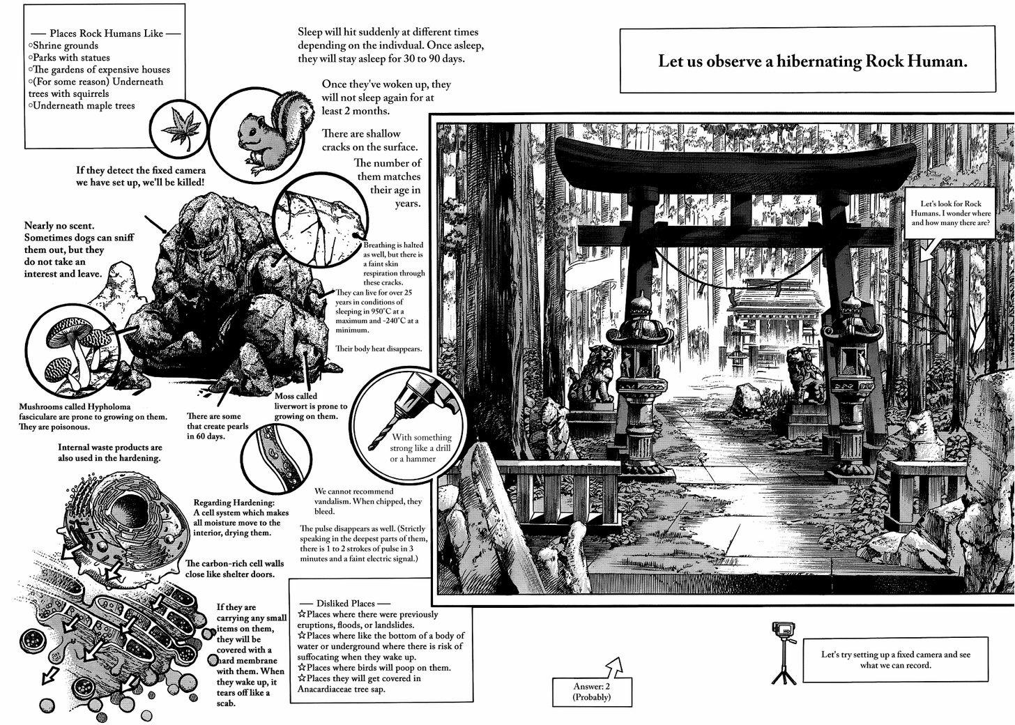 Read Jojo no Kimyou na Bouken EN Manga Online