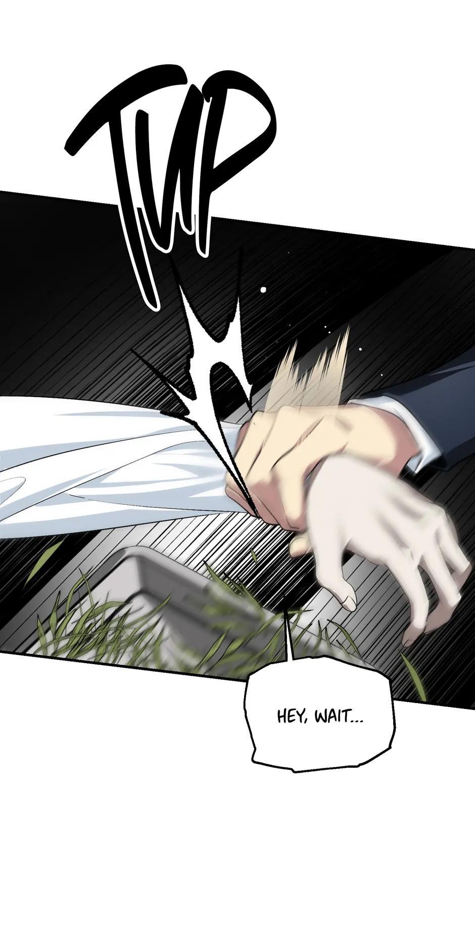 Read SSS Class Revival Hunter EN Manga Online