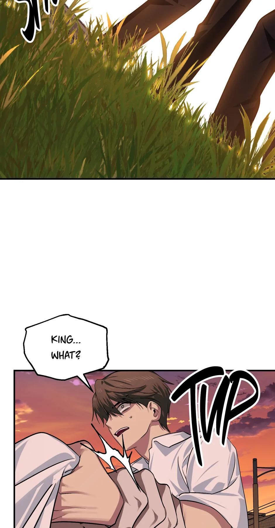 Read SSS Class Revival Hunter EN Manga Online