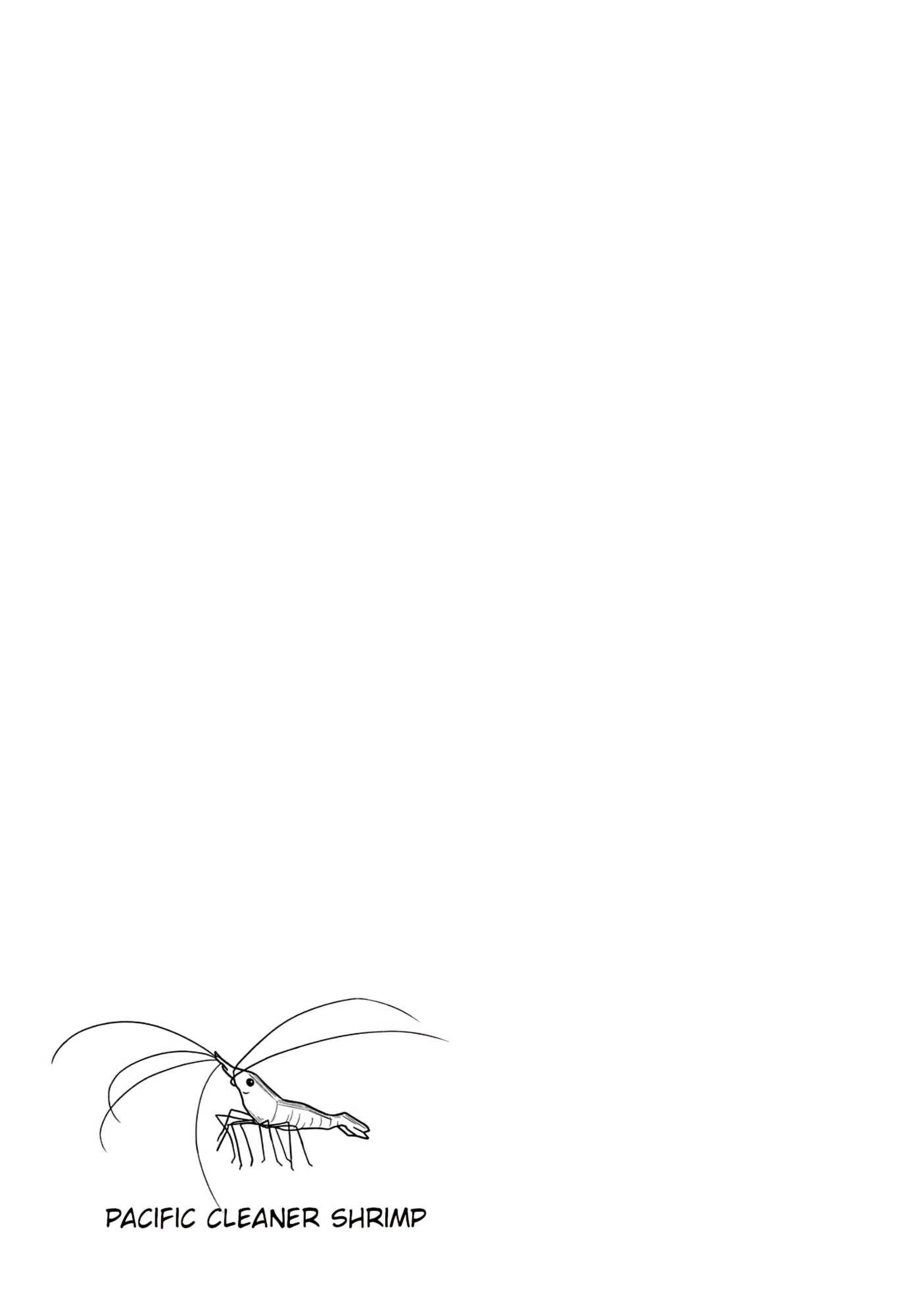 Read Starting Today, We’re Childhood Friends EN Manga Online