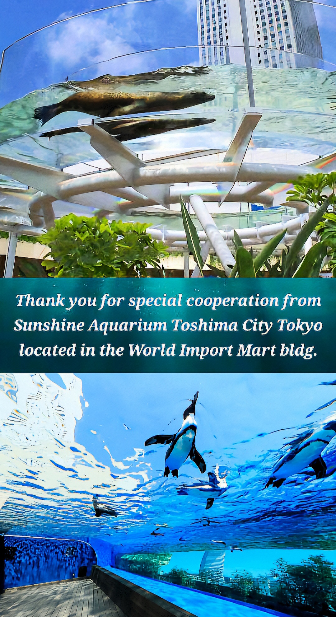 Read Starting Today, We’re Childhood Friends EN Manga Online