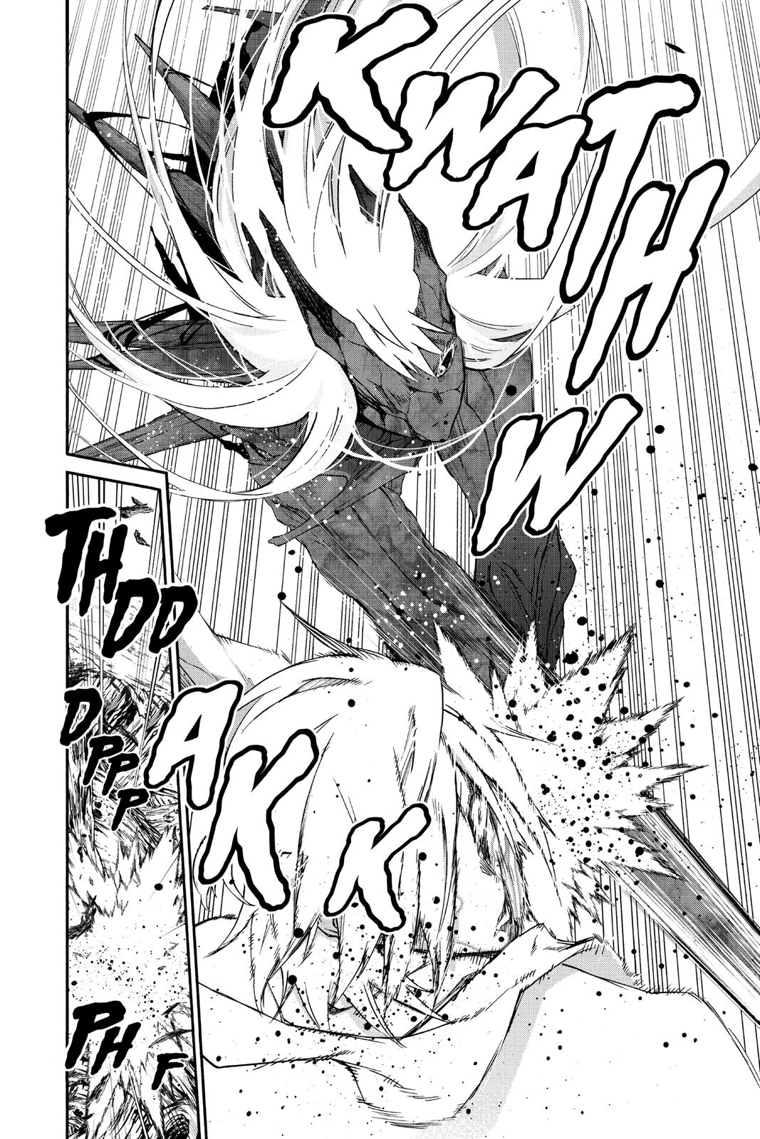 Read Twin Star Exorcists EN Manga Online