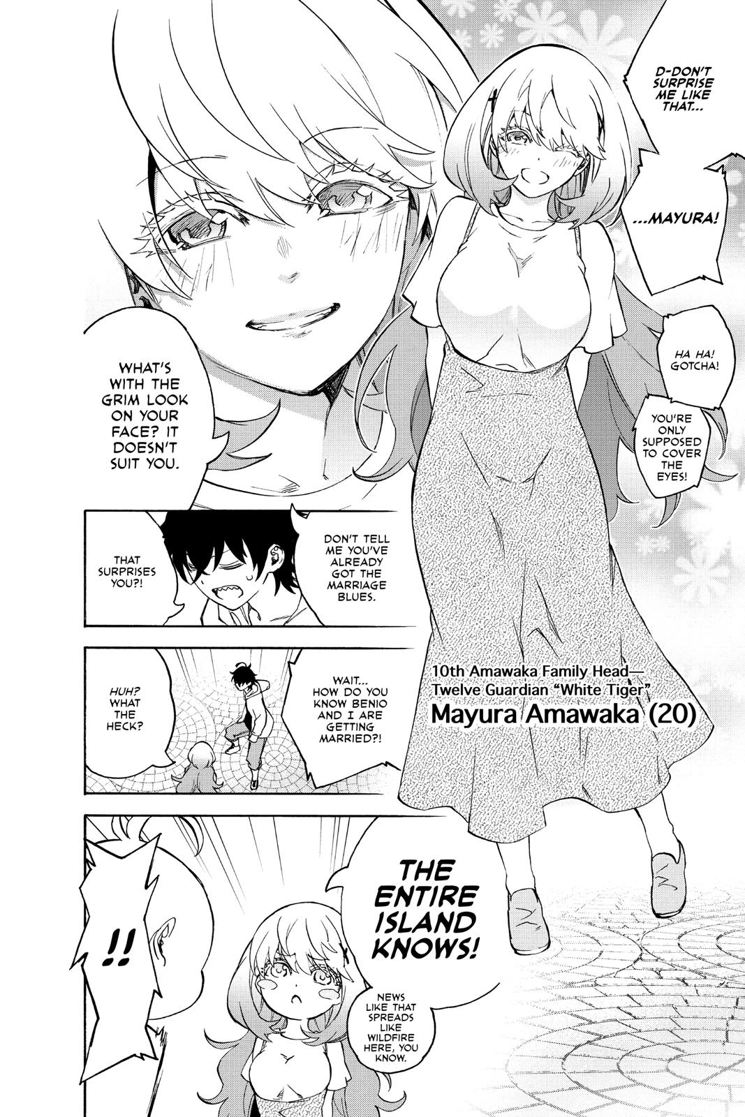 Read Twin Star Exorcists EN Manga Online