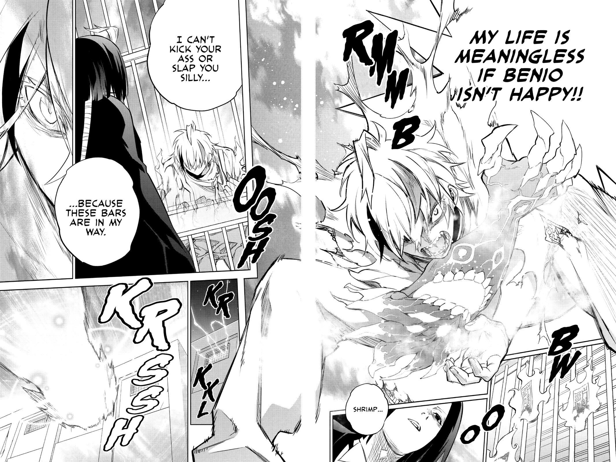 Read Twin Star Exorcists EN Manga Online