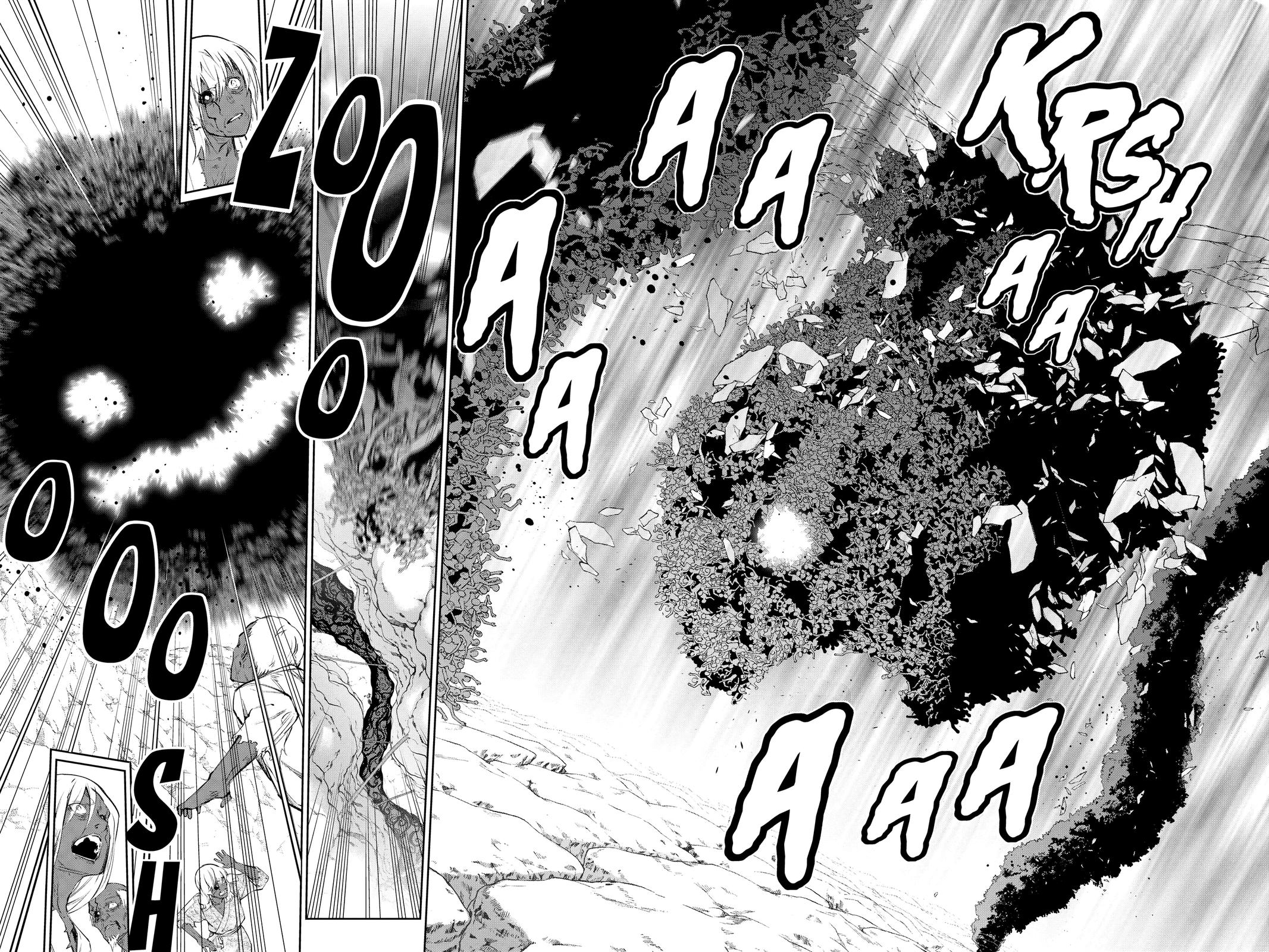 Read Twin Star Exorcists EN Manga Online