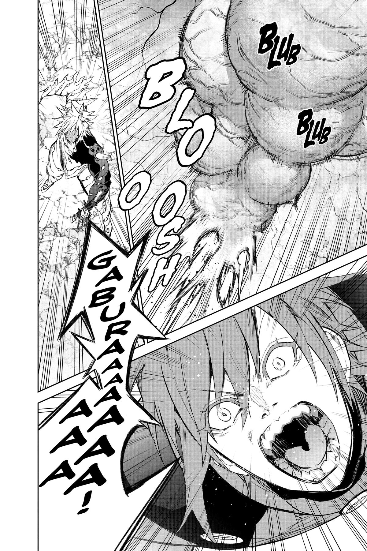 Read Twin Star Exorcists EN Manga Online