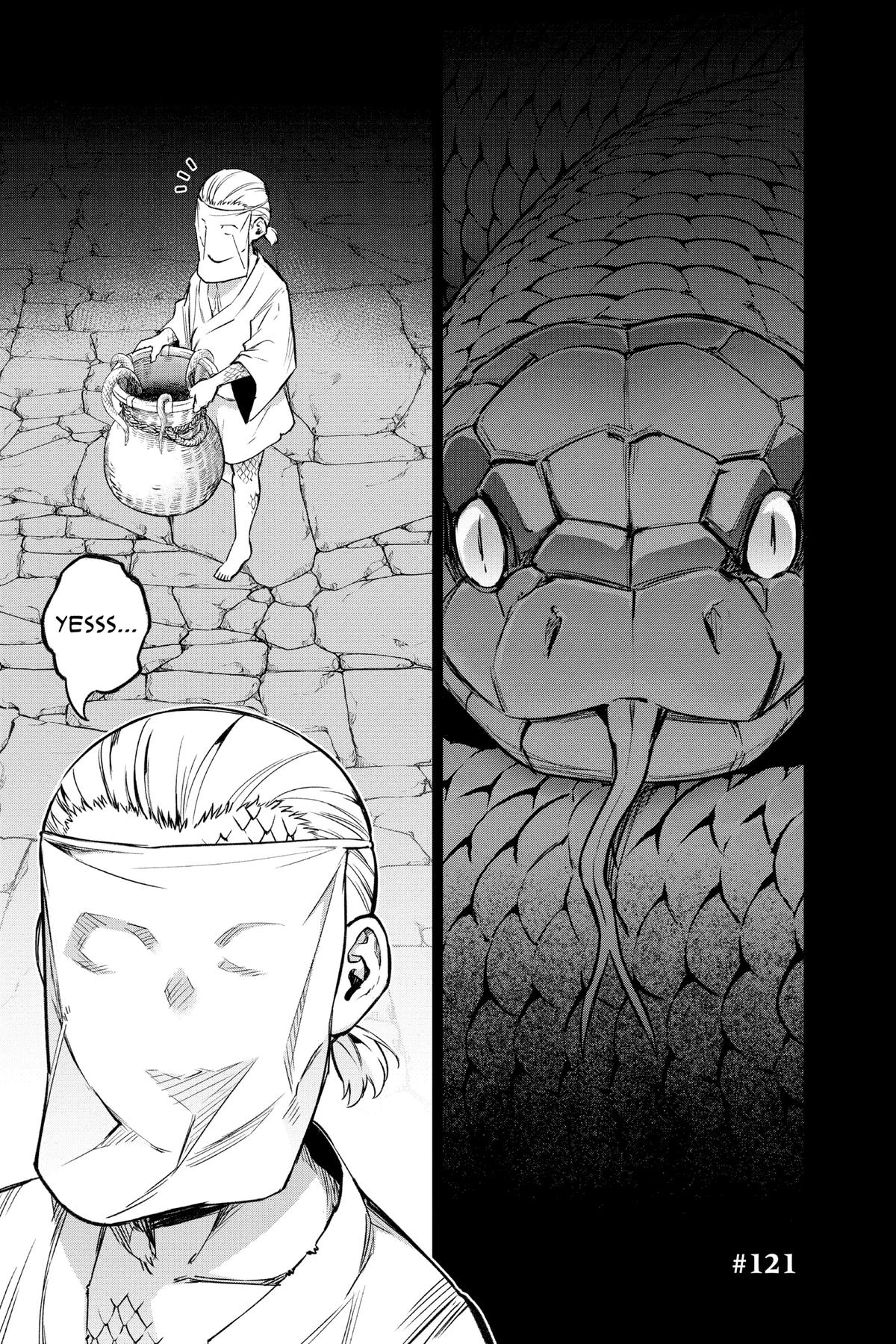 Read Twin Star Exorcists EN Manga Online