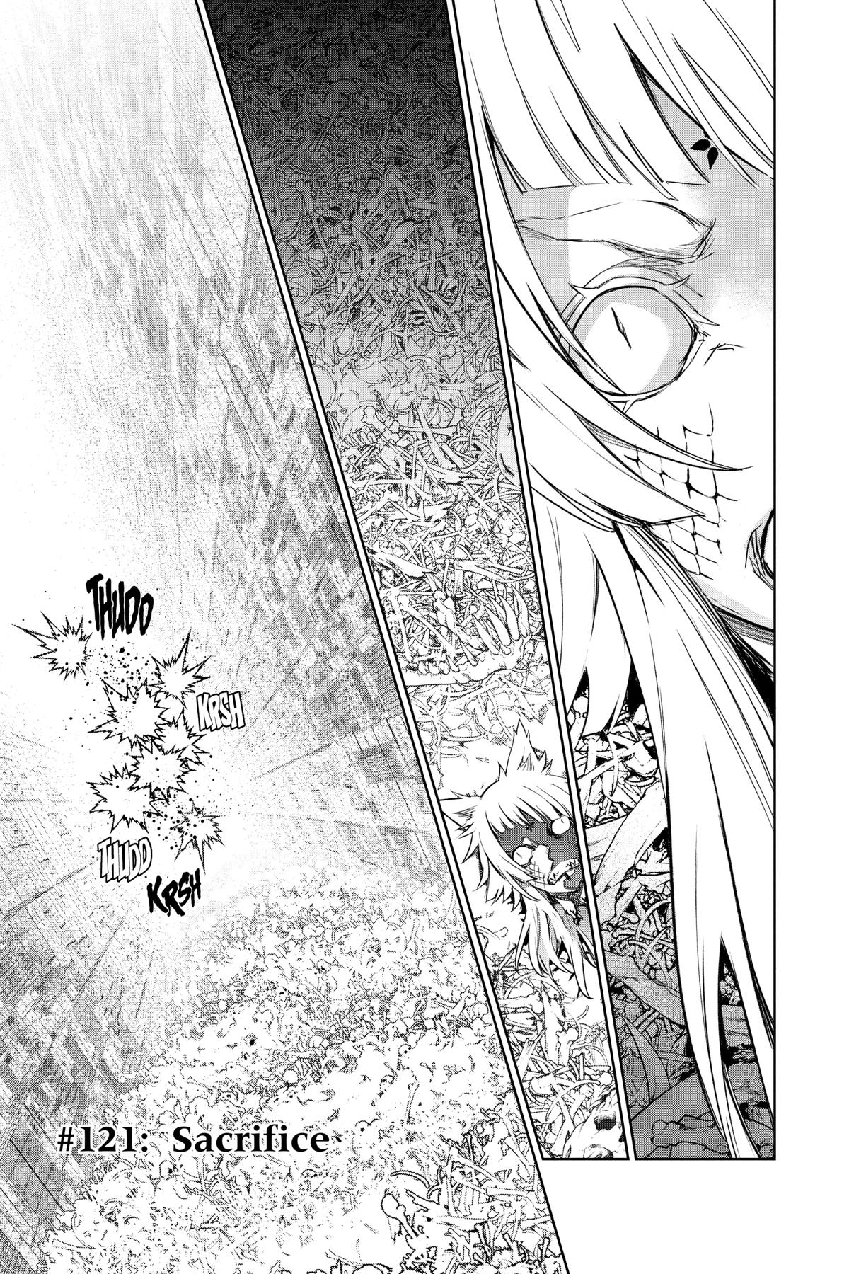 Read Twin Star Exorcists EN Manga Online