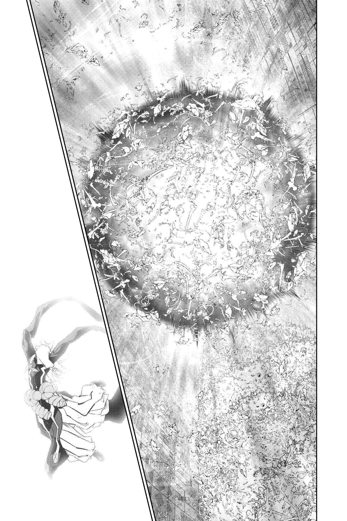 Read Twin Star Exorcists EN Manga Online