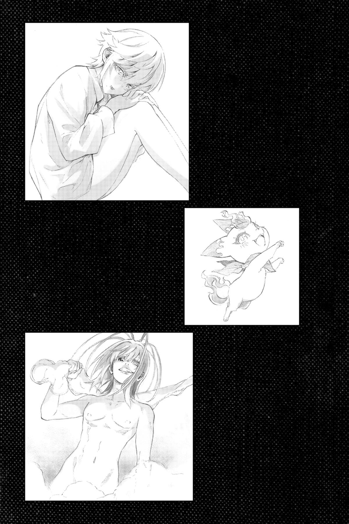 Read Twin Star Exorcists EN Manga Online