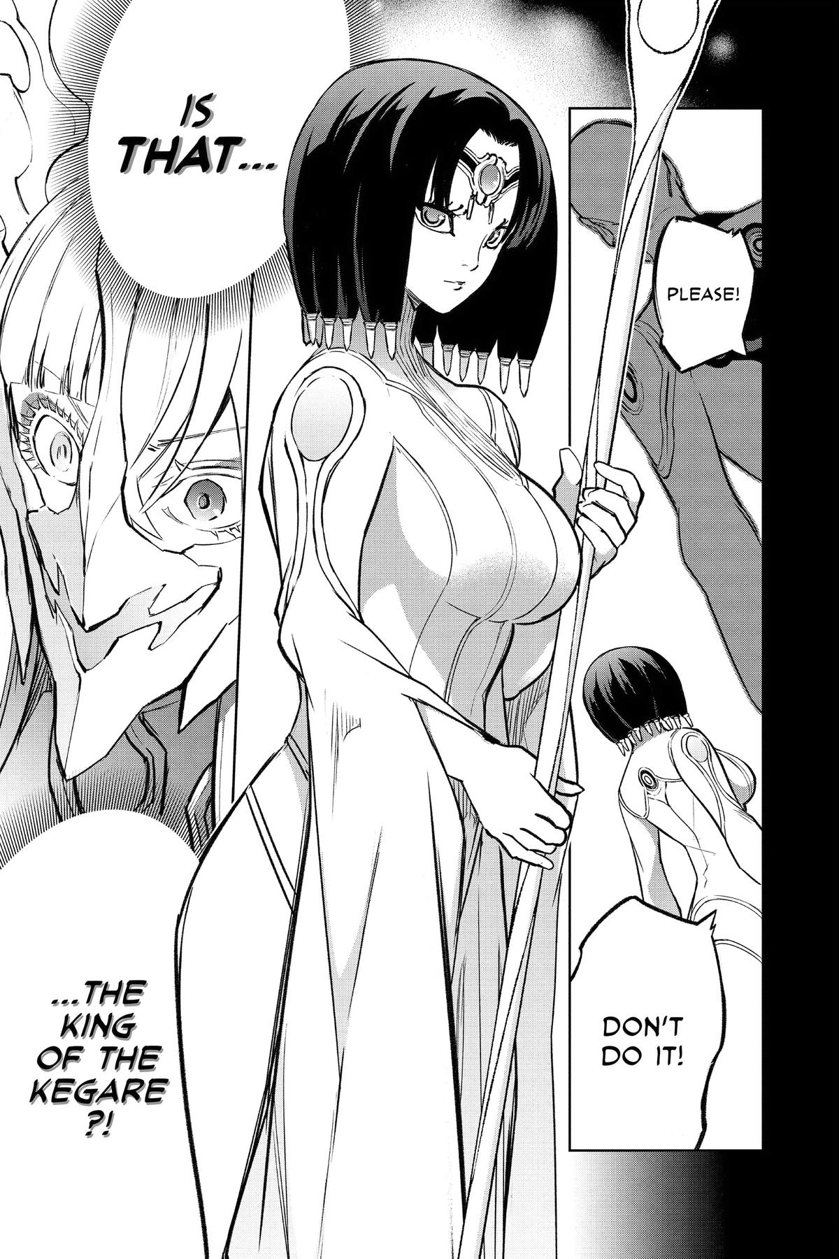 Read Twin Star Exorcists EN Manga Online