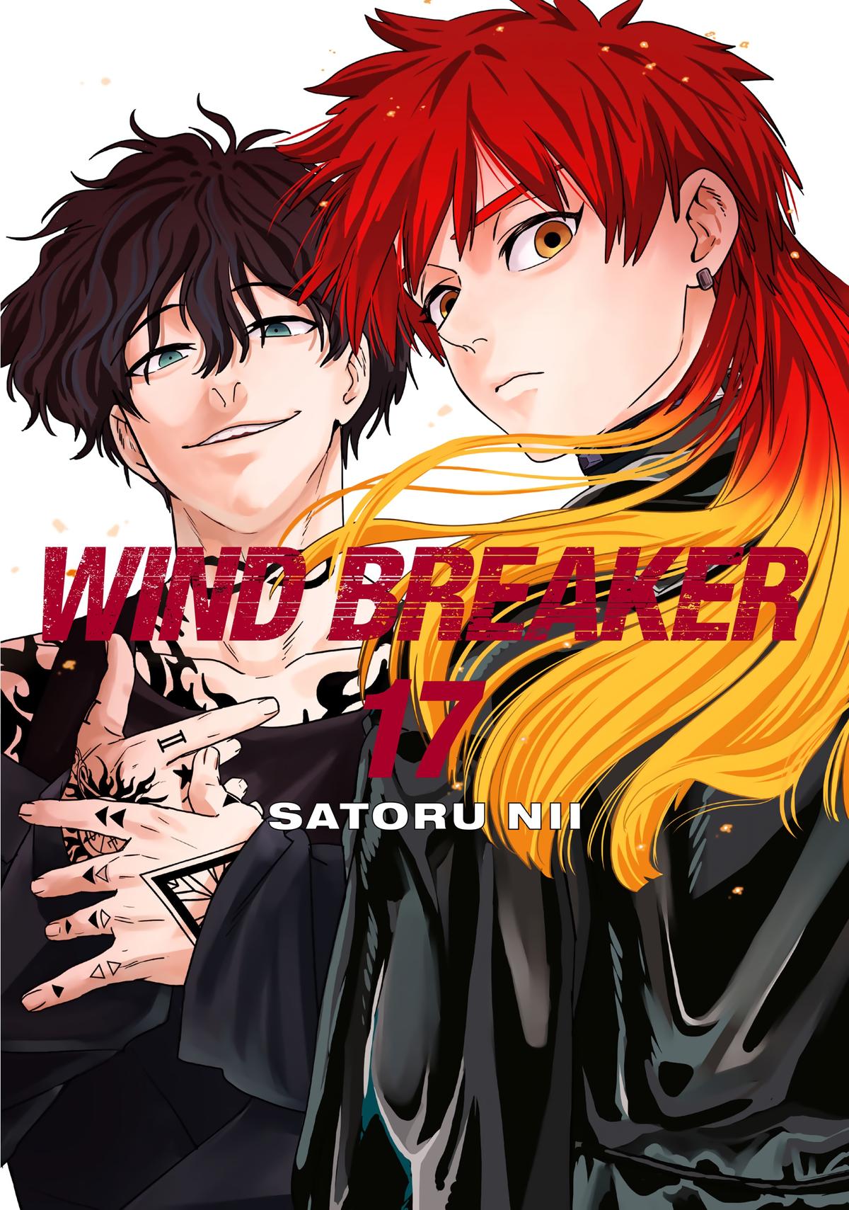 Read Wind Breaker NII Satoru EN Manga Online