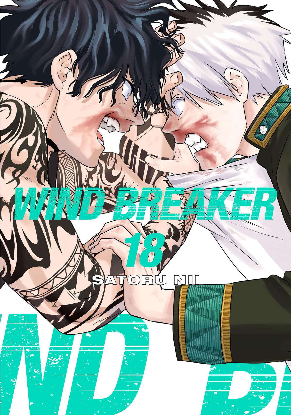 Read Wind Breaker NII Satoru EN Manga Online
