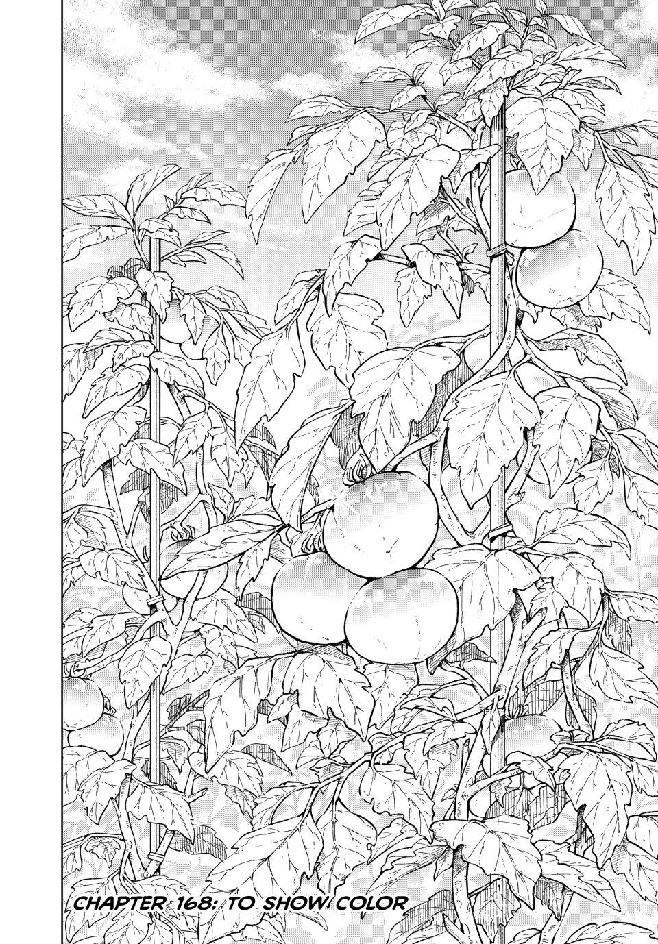 Read Wind Breaker NII Satoru EN Manga Online