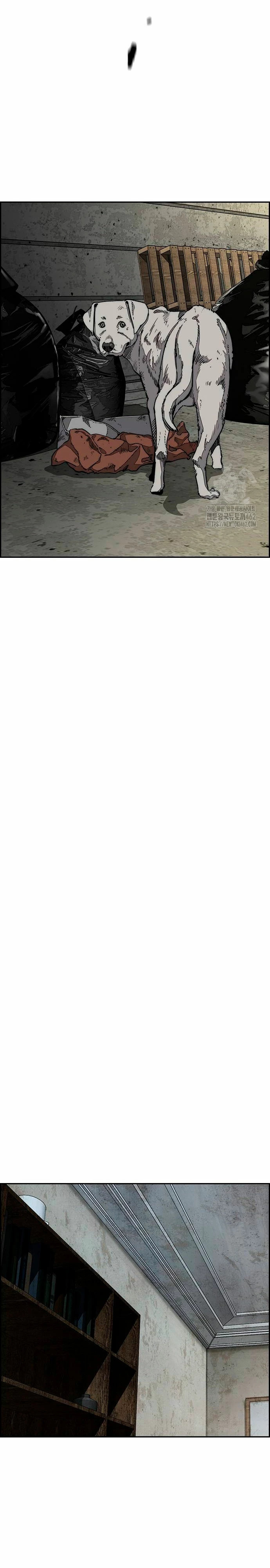 Read Cortavientos ES Manga Online