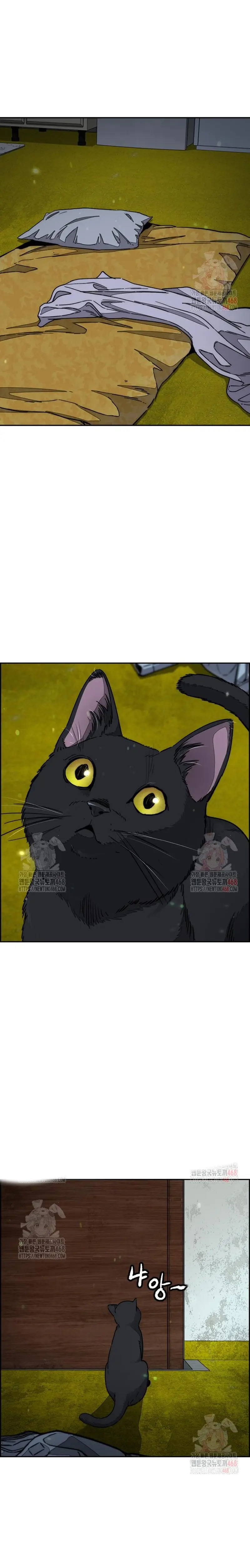 Read Cortavientos ES Manga Online