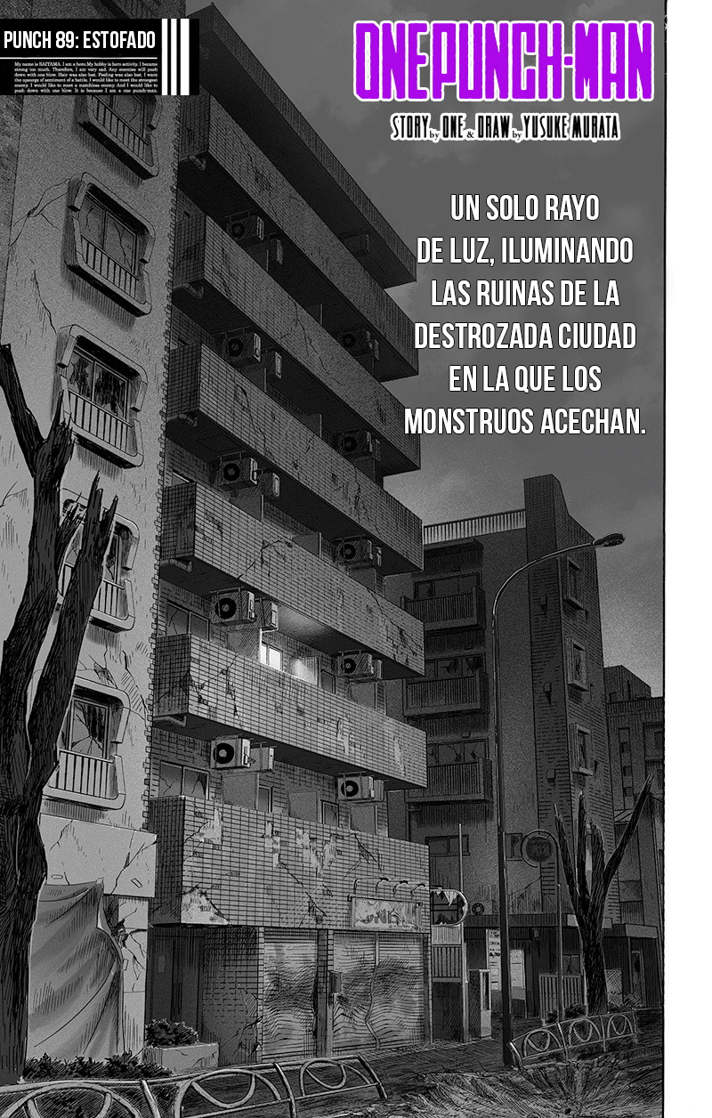 Read El hombre de un solo golpe ES Manga Online