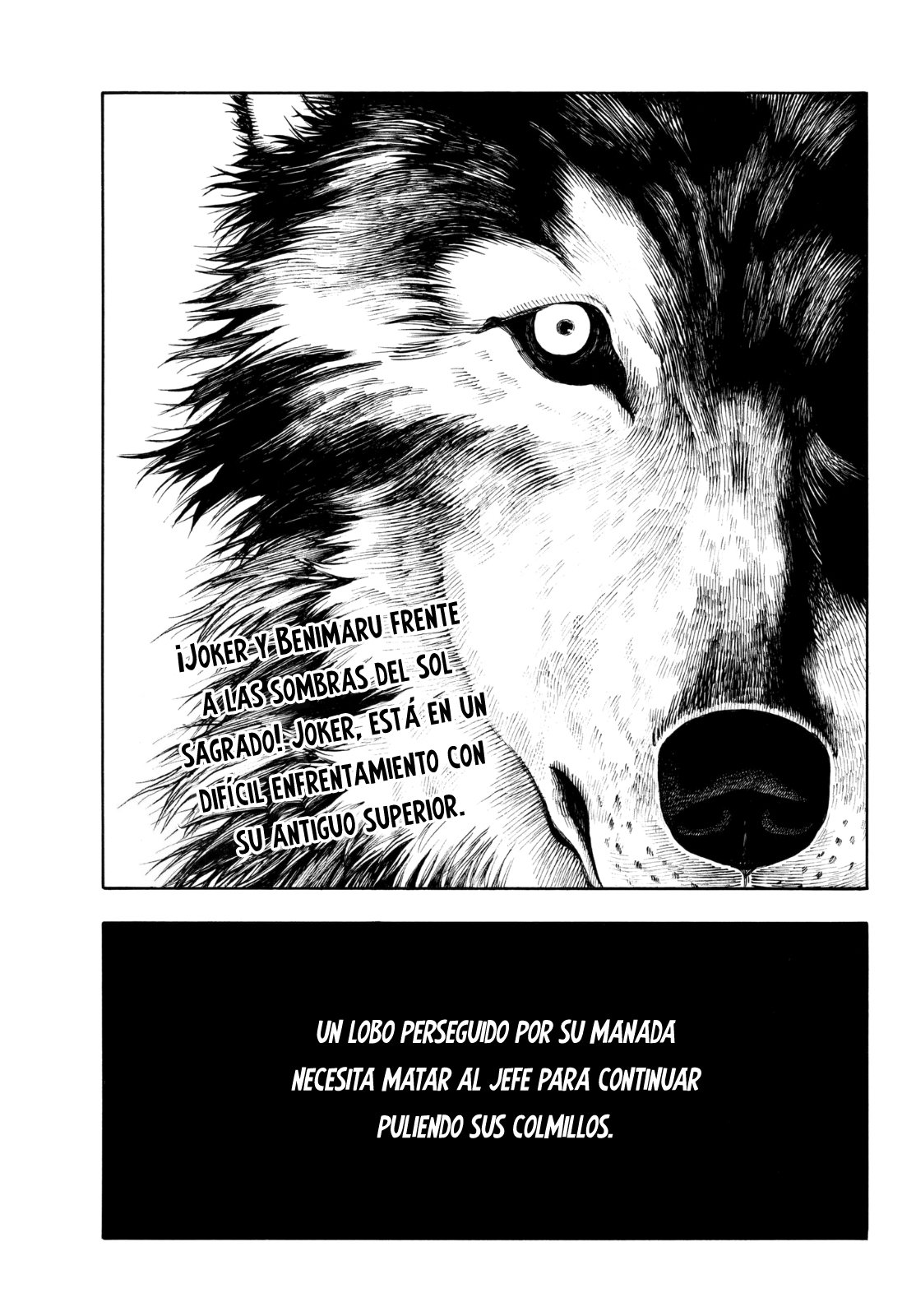 Read Fire Force ES Manga Online