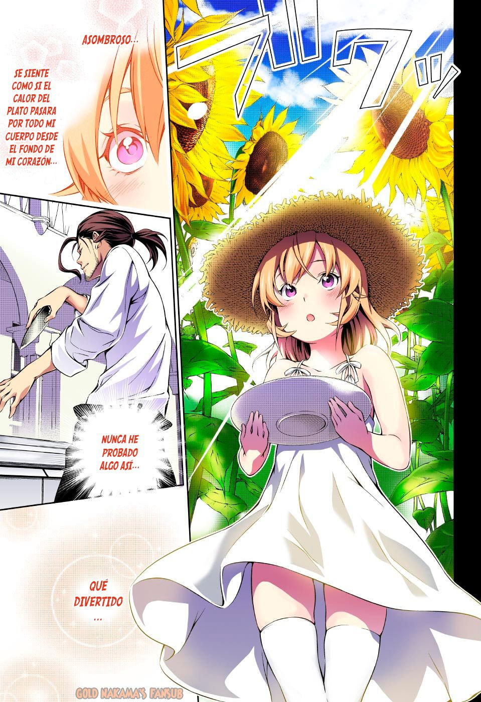 Read Food Wars! Shokugeki no Soma ES Manga Online