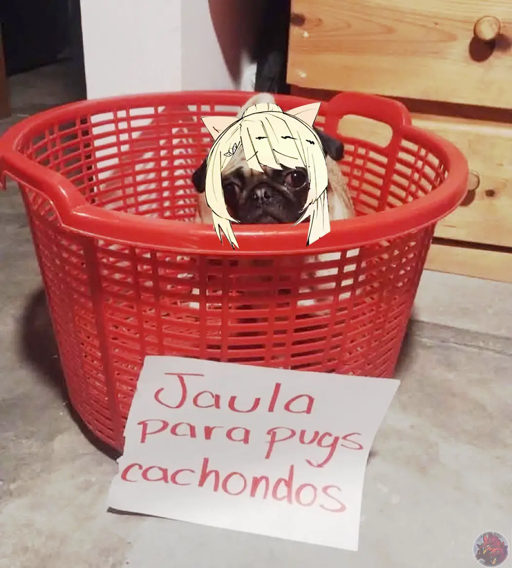 Read GACHA INFINITA ES Manga Online