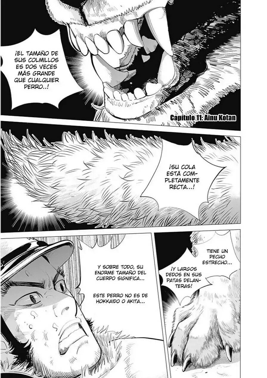 Read Golden Kamuy ES Manga Online