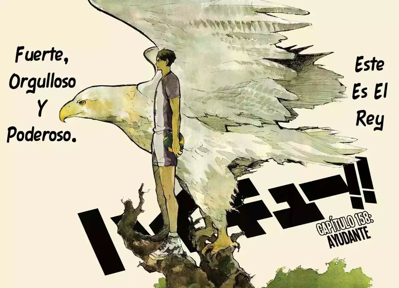 Read Haikyu!! ES Manga Online