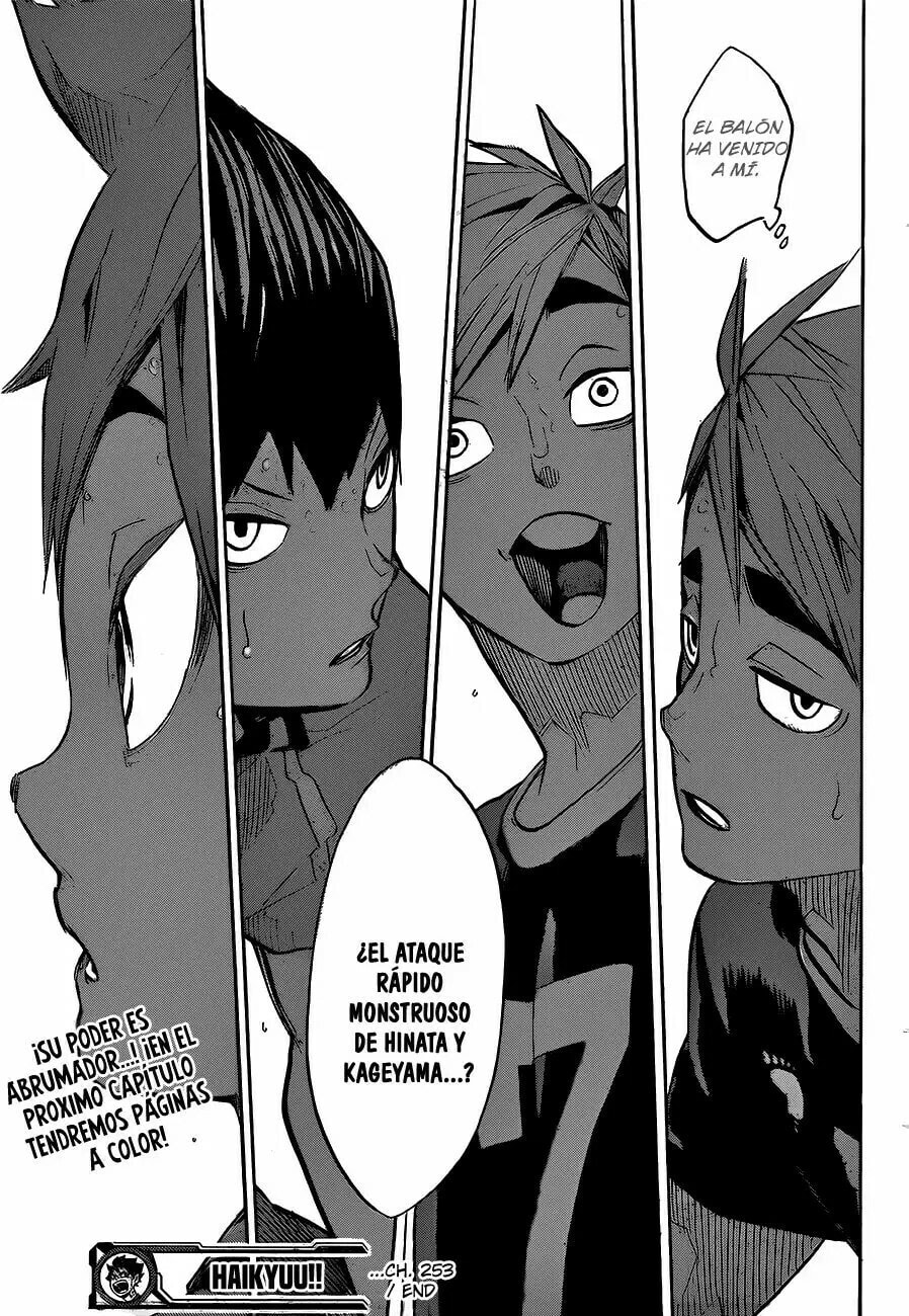 Read Haikyu!! ES Manga Online