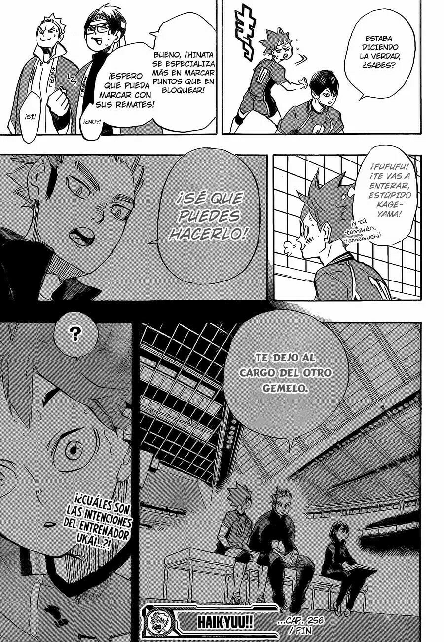 Read Haikyu!! ES Manga Online
