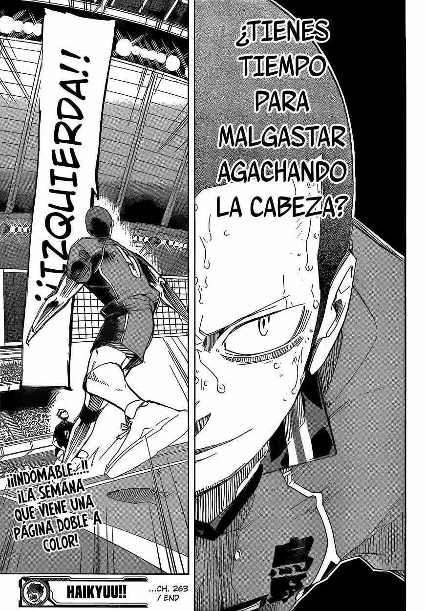 Read Haikyu!! ES Manga Online