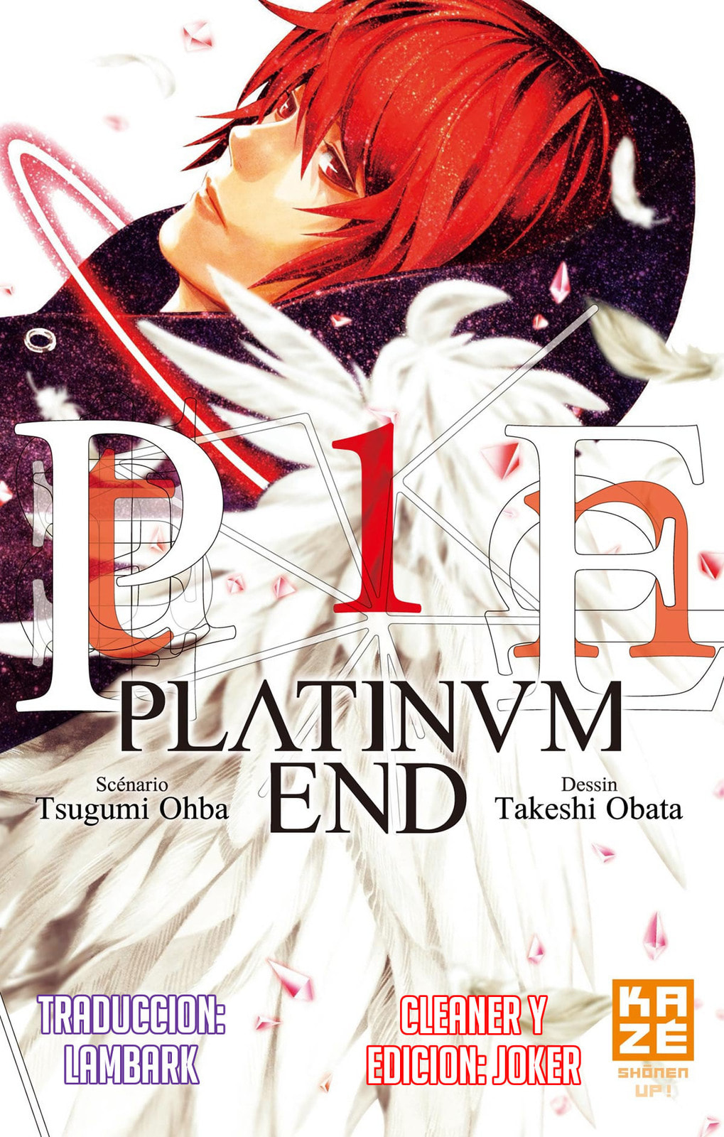 Read Platinum End ES Manga Online