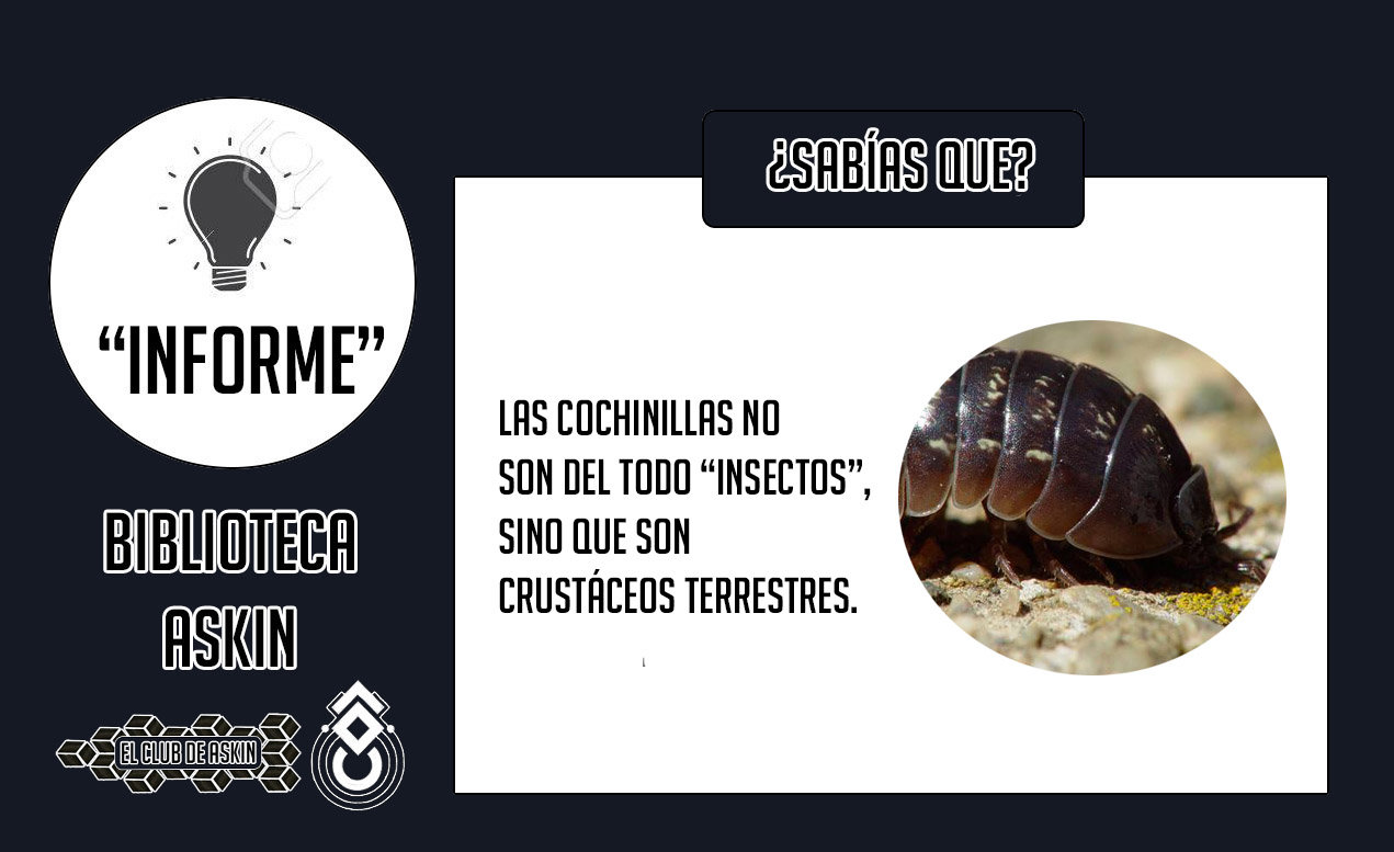 Read Radiant ES Manga Online