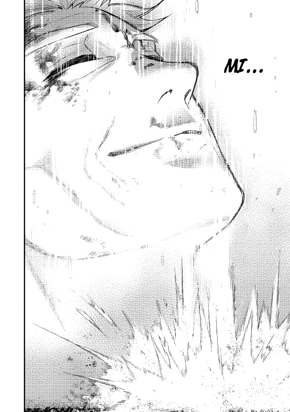 Read The New Gate ES Manga Online