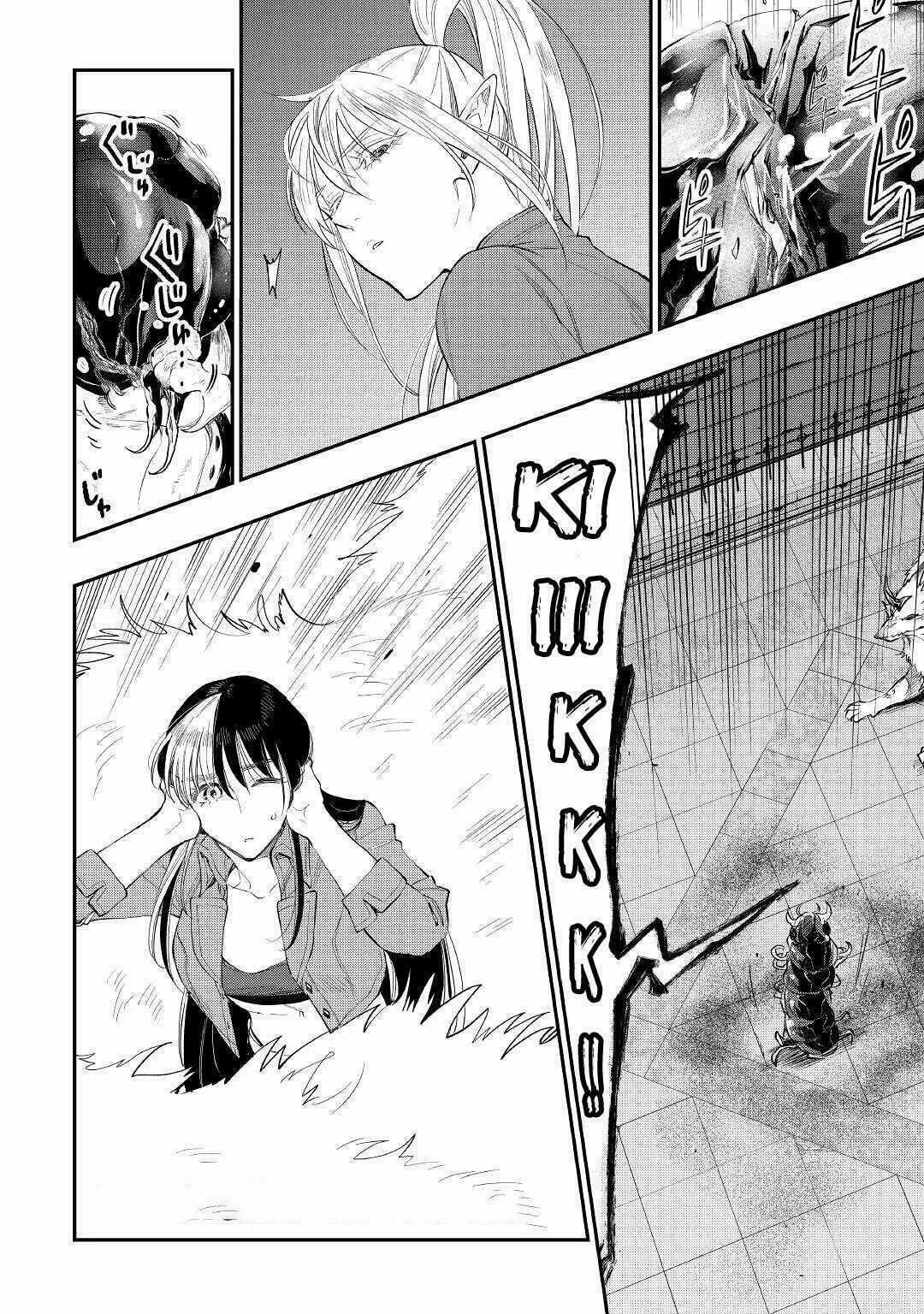 Read The New Gate ES Manga Online