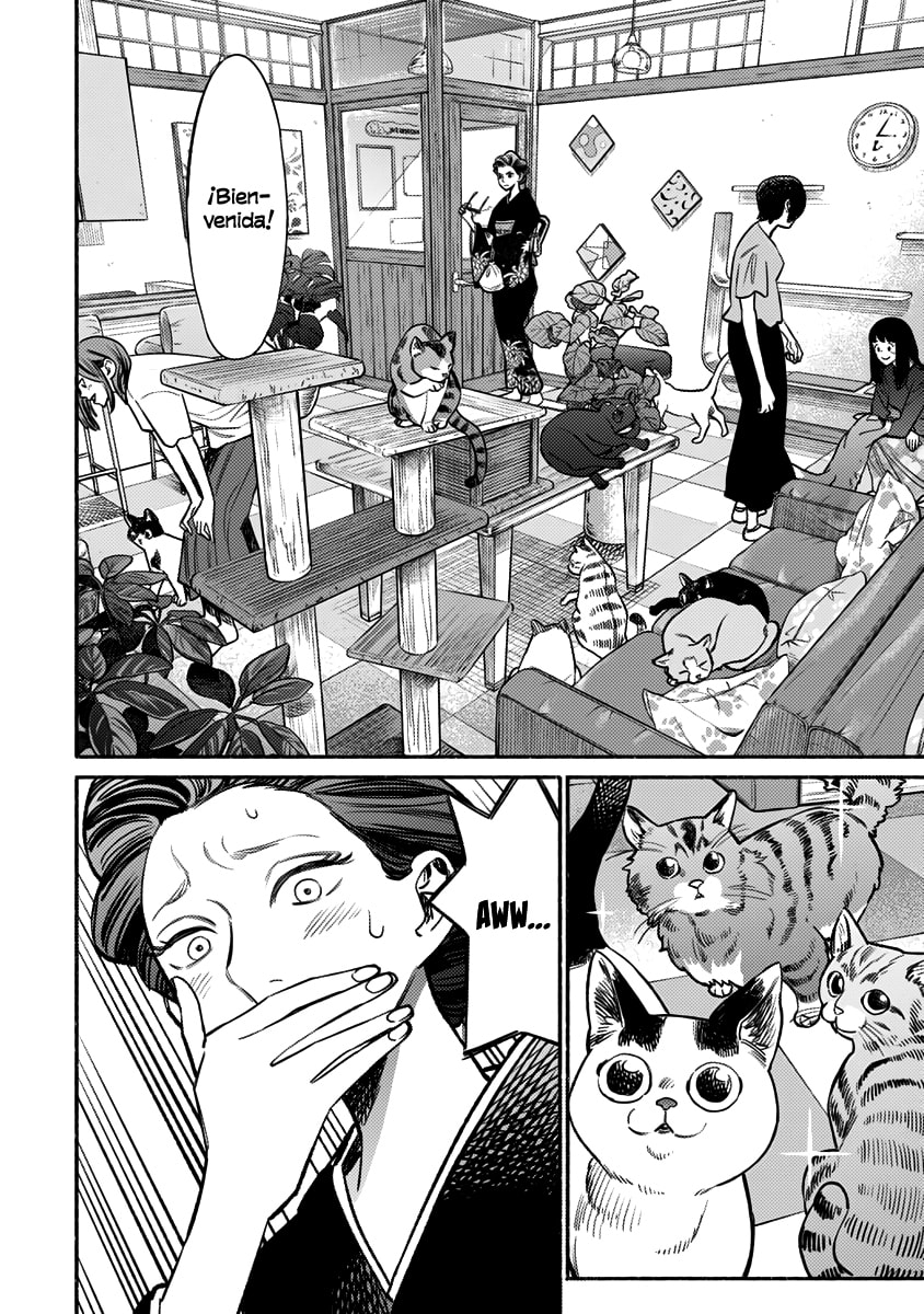 Read The Way of the Househusband ES Manga Online