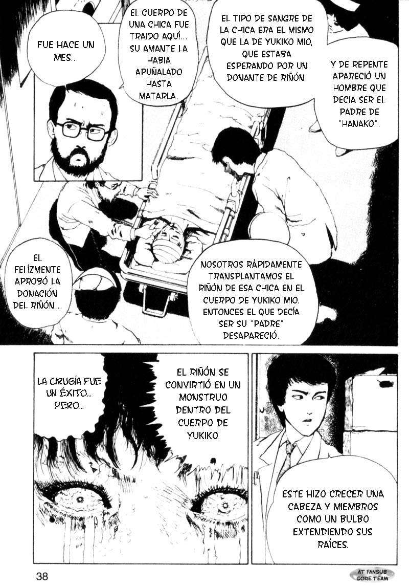 Read Tomie ES Manga Online