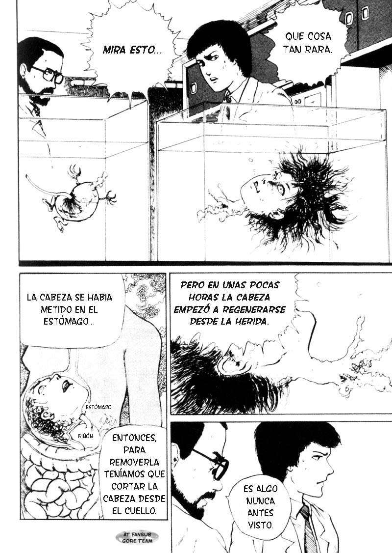 Read Tomie ES Manga Online