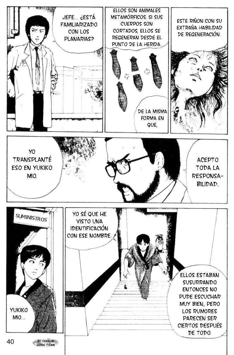 Read Tomie ES Manga Online