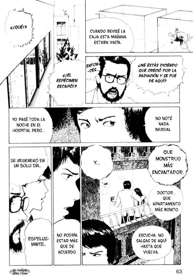 Read Tomie ES Manga Online