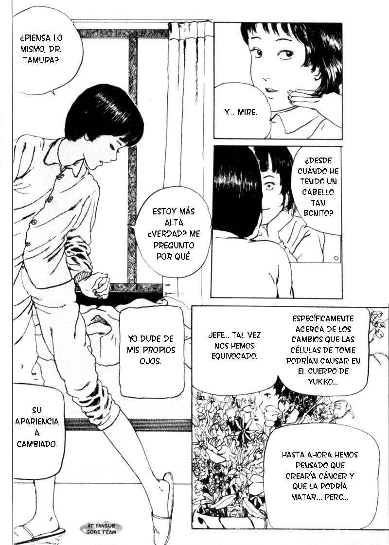 Read Tomie ES Manga Online