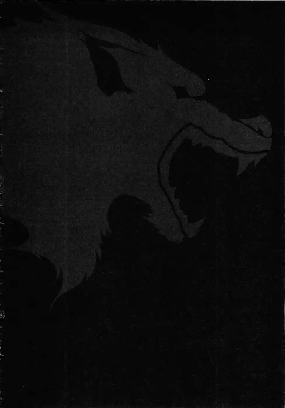 Read Black and Blue Hungry Wolf - Fist of the North Star Rei Gaiden PT Manga Online