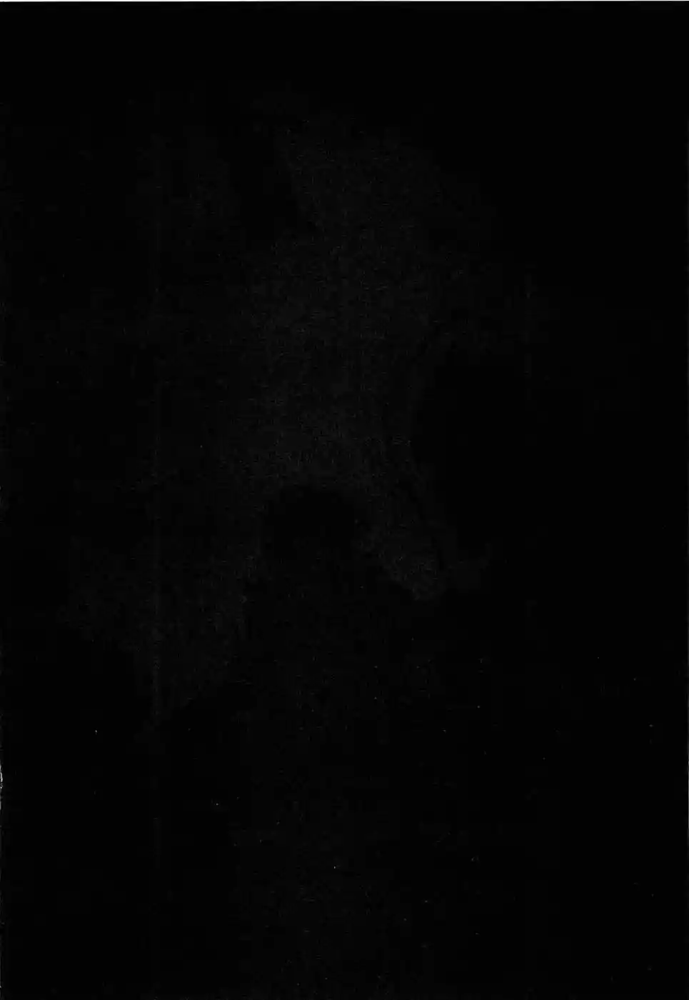 Read Black and Blue Hungry Wolf - Fist of the North Star Rei Gaiden PT Manga Online