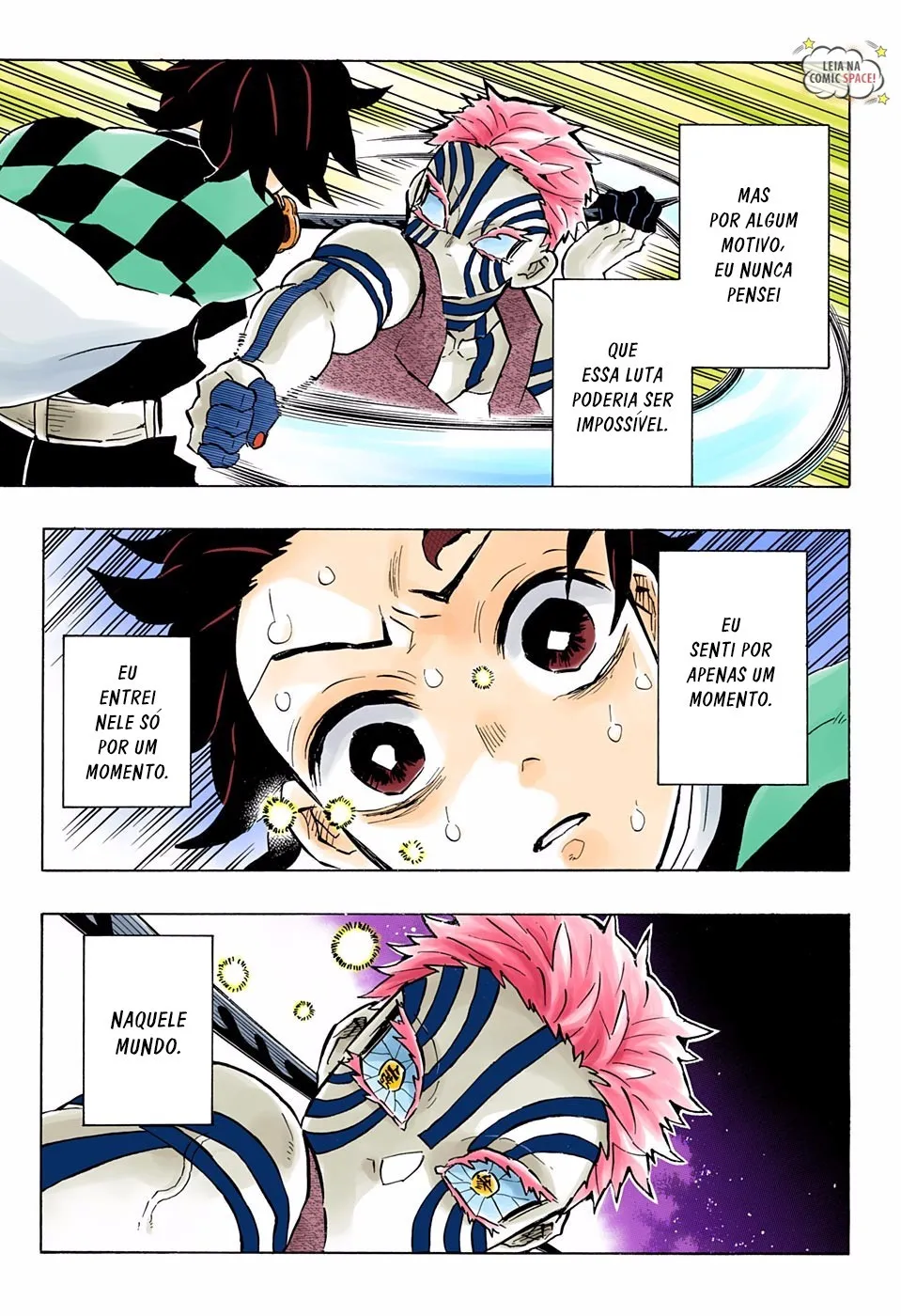 Read Demon Slayer_ Kimetsu no Yaiba PT Manga Online