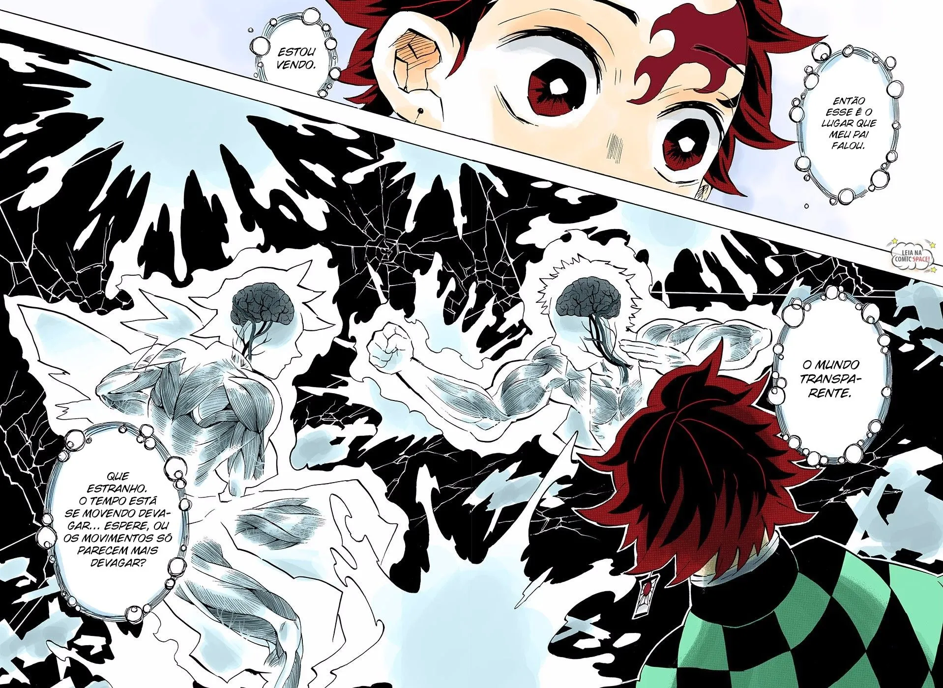 Read Demon Slayer_ Kimetsu no Yaiba PT Manga Online