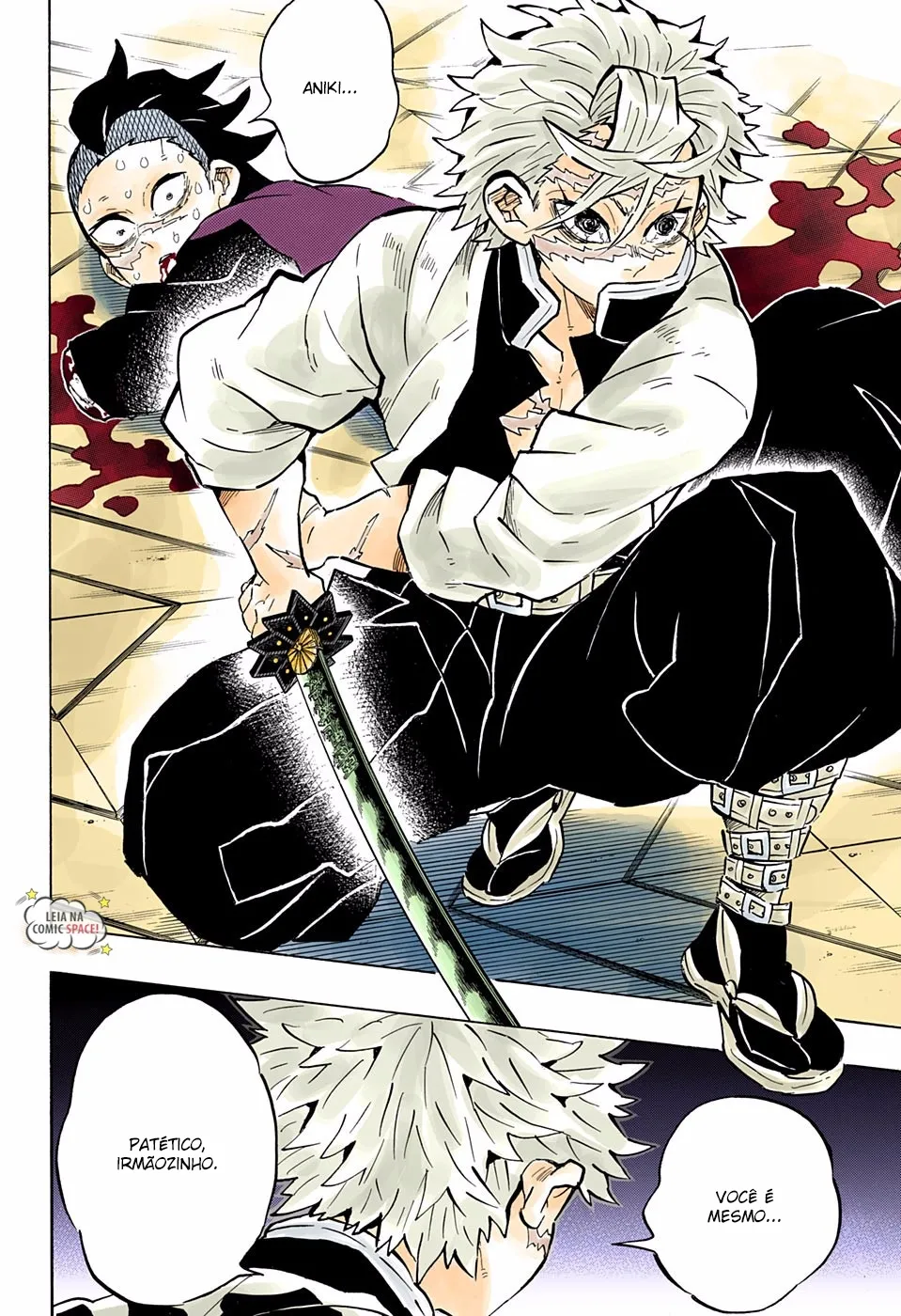 Read Demon Slayer_ Kimetsu no Yaiba PT Manga Online