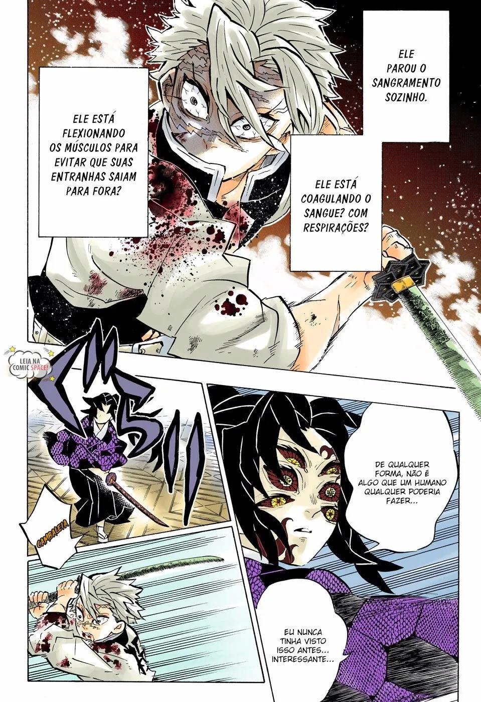 Read Demon Slayer_ Kimetsu no Yaiba PT Manga Online